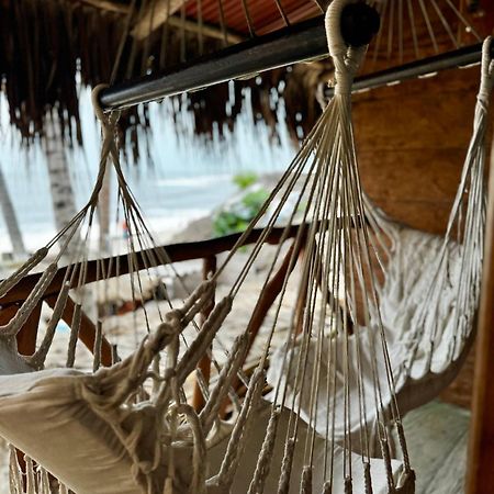 Palmario Hostal Guachaca Exteriér fotografie