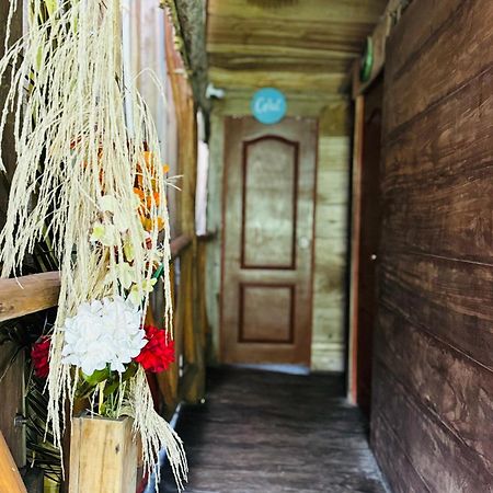Palmario Hostal Guachaca Exteriér fotografie
