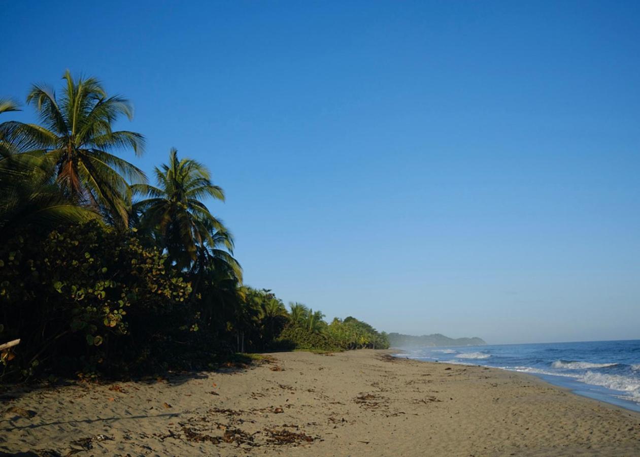 Palmario Hostal Guachaca Exteriér fotografie