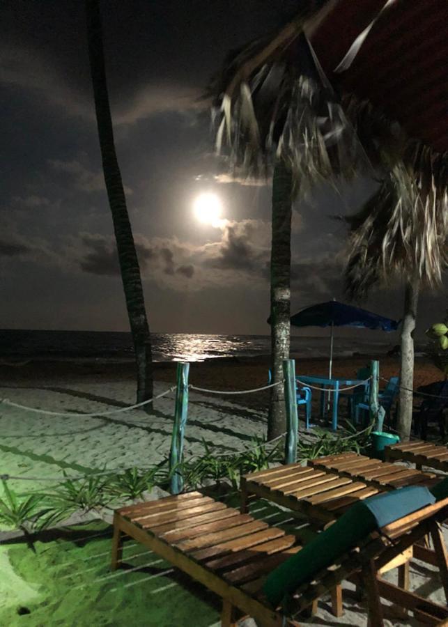 Palmario Hostal Guachaca Exteriér fotografie