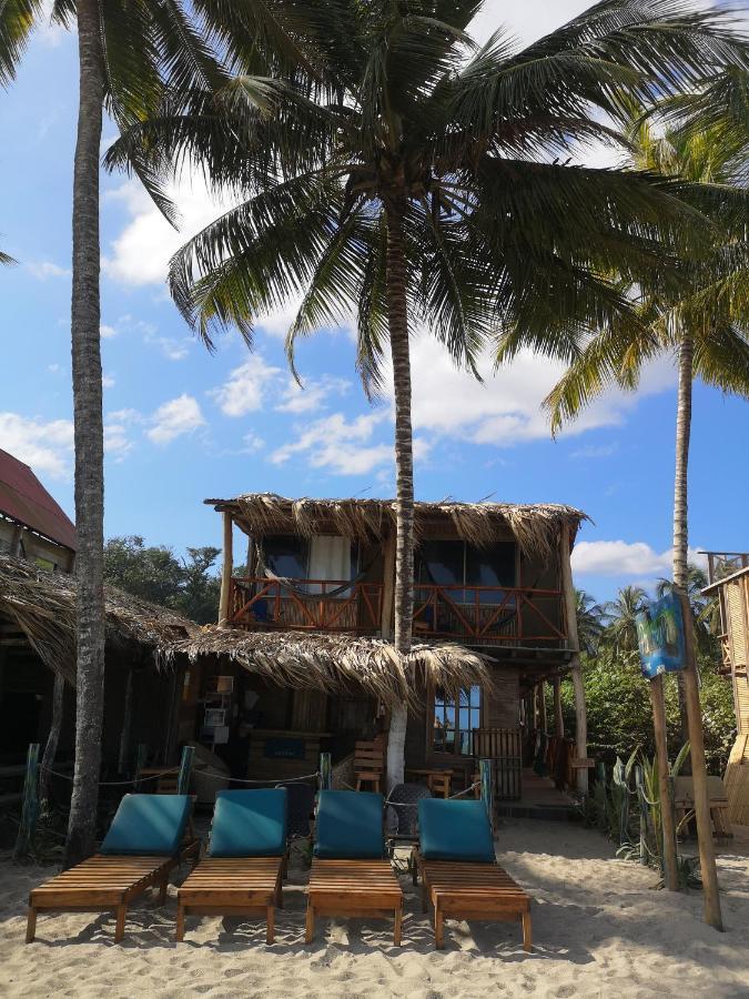 Palmario Hostal Guachaca Exteriér fotografie