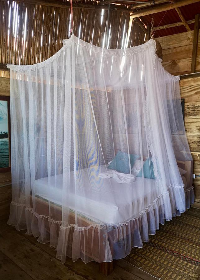 Palmario Hostal Guachaca Exteriér fotografie
