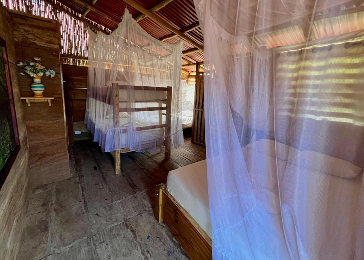 Palmario Hostal Guachaca Exteriér fotografie