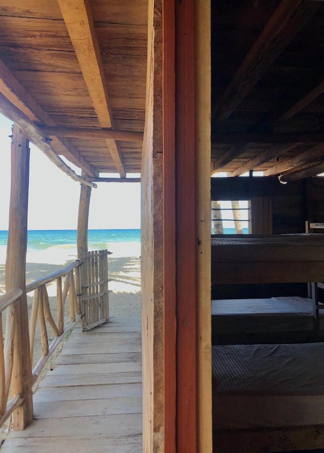 Palmario Hostal Guachaca Exteriér fotografie