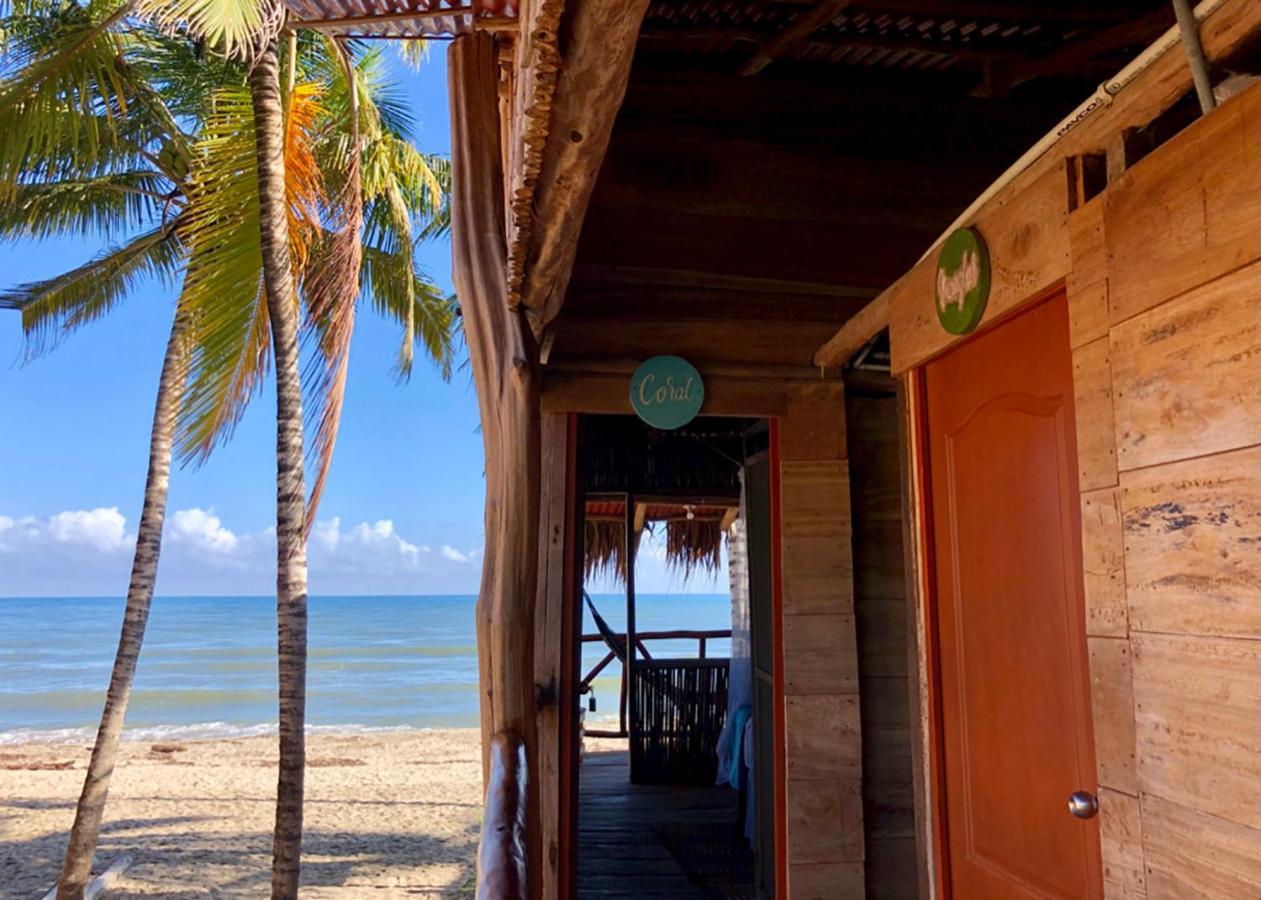 Palmario Hostal Guachaca Exteriér fotografie