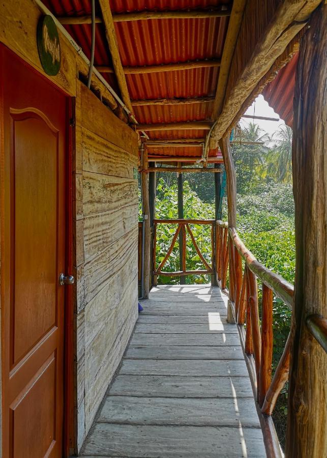 Palmario Hostal Guachaca Exteriér fotografie