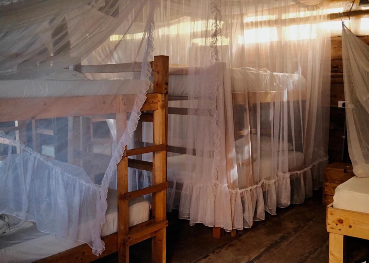 Palmario Hostal Guachaca Exteriér fotografie
