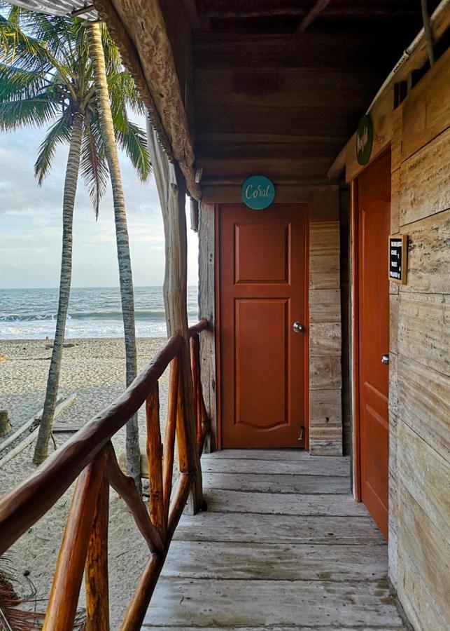 Palmario Hostal Guachaca Exteriér fotografie