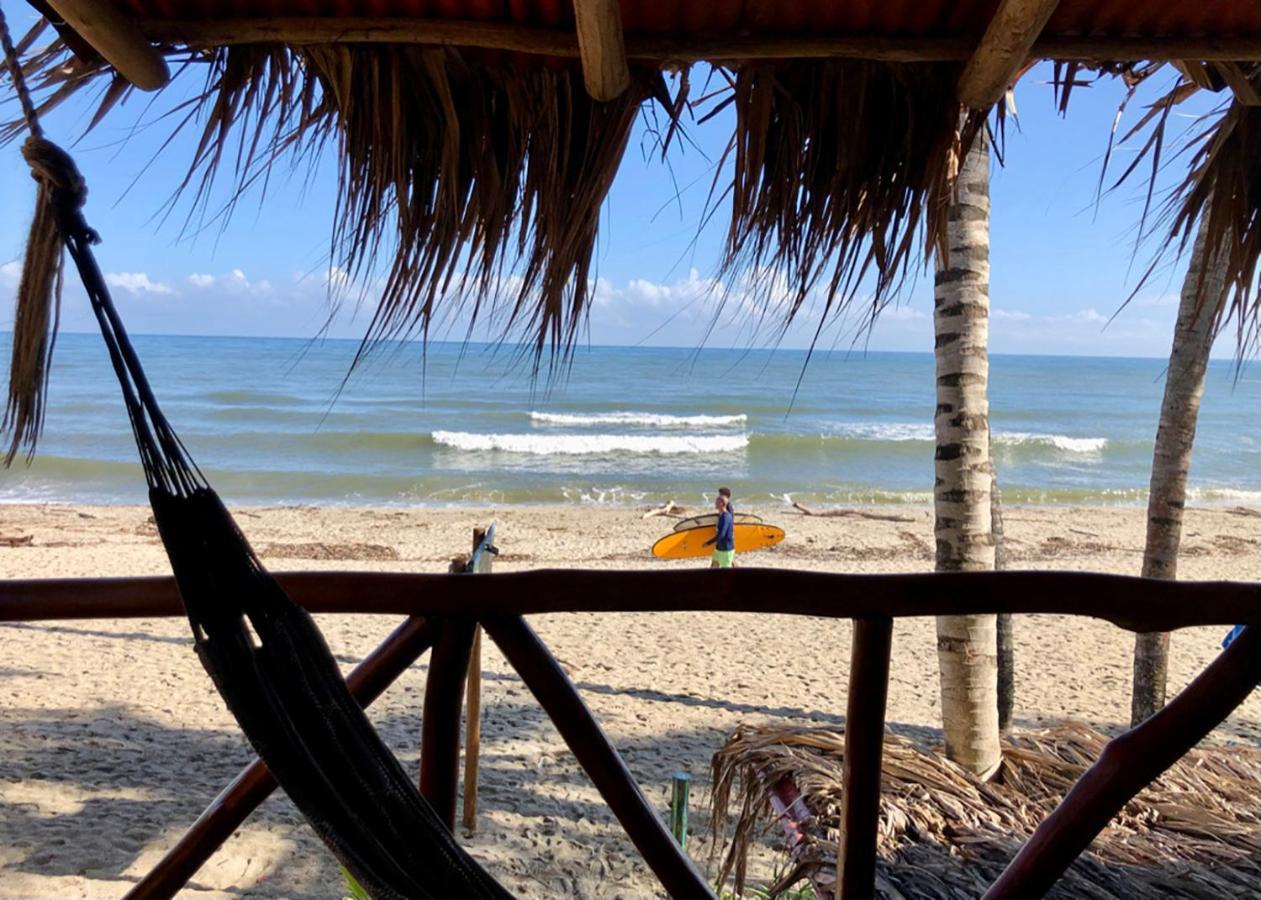 Palmario Hostal Guachaca Exteriér fotografie