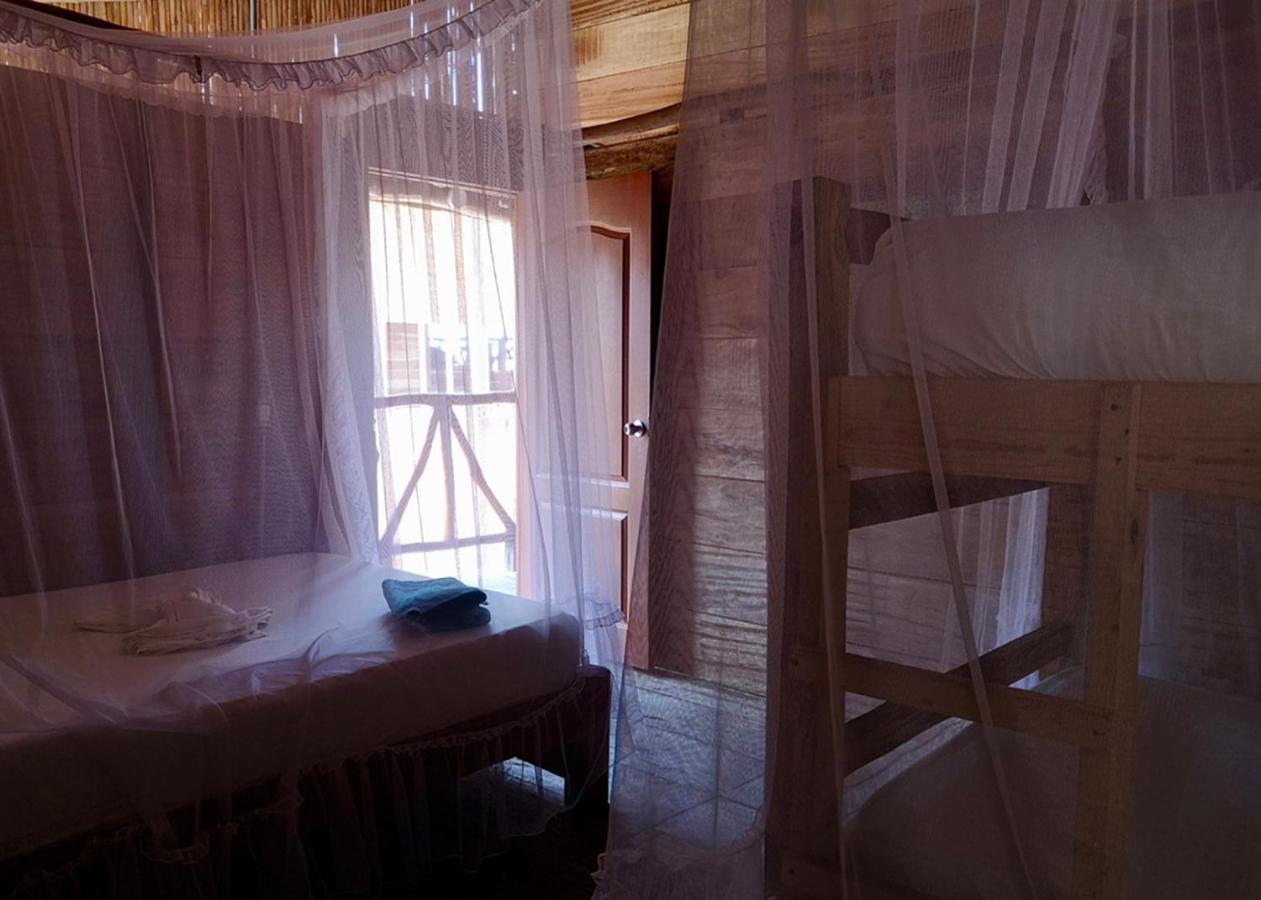 Palmario Hostal Guachaca Exteriér fotografie