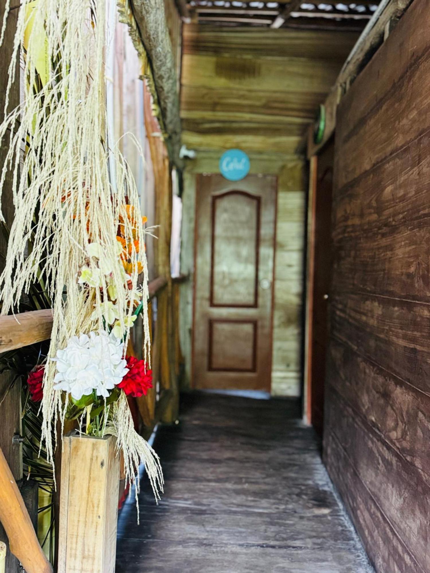 Palmario Hostal Guachaca Exteriér fotografie